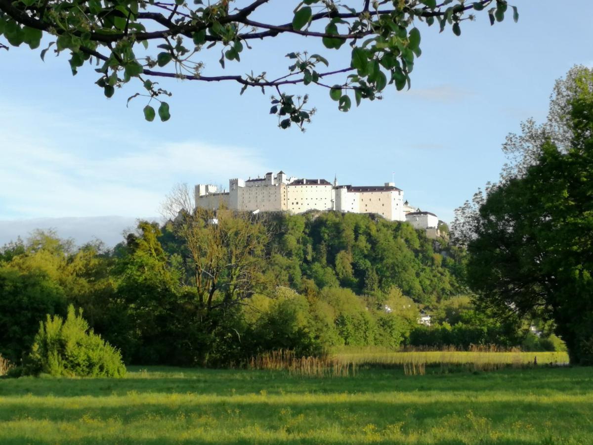 Pension Katrin Salzburg Exterior photo